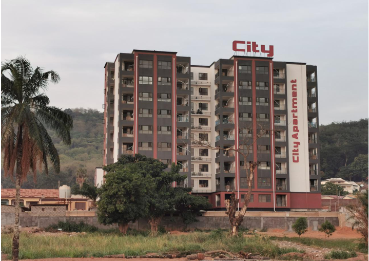 Central African Republic Ministry of Mineral Resources Information Center Project - Highly reliable, anti-interference power supply system